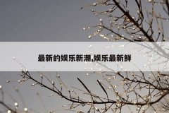 最新的娱乐新潮,娱乐最新鲜