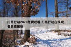 扫黑行动2020免费观看,扫黑行动在线观看免费策驰