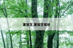 董智芝,董智芝现状