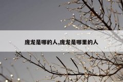 庞龙是哪的人,庞龙是哪里的人