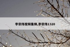 李宗伟视频集锦,李宗伟1320