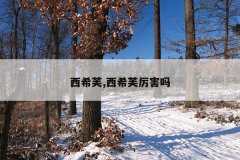 西希芙,西希芙厉害吗