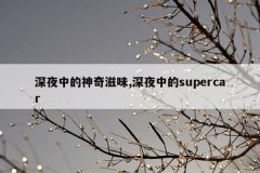 深夜中的神奇滋味,深夜中的supercar