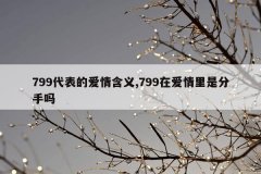 799代表的爱情含义,799在爱情里是分手吗