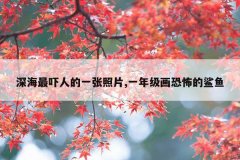 深海最吓人的一张照片,一年级画恐怖的鲨鱼