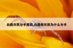 白鹿许凯分手原因,白鹿和许凯为什么分手