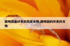 圆明园最珍贵的历史文物,圆明园的珍贵的文物