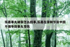 乐嘉睾丸破裂怎么回事,乐嘉在录制节目中因不慎导致睾丸受伤