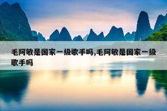 毛阿敏是国家一级歌手吗,毛阿敏是国家一级歌手