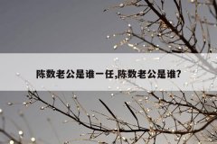 陈数老公是谁一任,陈数老公是谁?