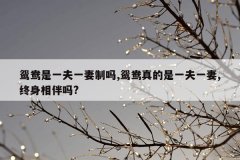 鸳鸯是一夫一妻制吗,鸳鸯真的是一夫一妻,终身相伴吗?