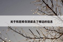 关于陈冠希你到底去了哪边的信息