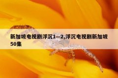 新加坡电视剧浮沉1—2,浮沉电视剧新加坡50集