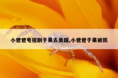 小爸爸电视剧于果去美国,小爸爸于果被抓