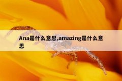 Ana是什么意思,amazing是什么意思