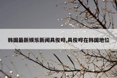 韩国最新娱乐新闻具俊晔,具俊晔在韩国地位