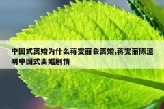 中国式离婚为什么蒋雯丽会离婚,蒋雯丽陈道明中