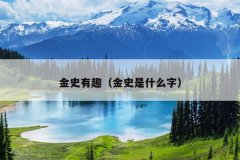 金史有趣（金史是什么字）