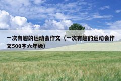 一次有趣的运动会作文（一次有趣的运动会作文