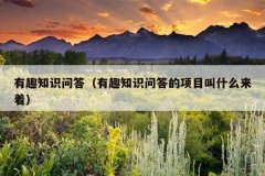 有趣知识问答（有趣知识问答的项目叫什么来着