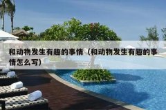 和动物发生有趣的事情（和动物发生有趣的事情