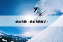 虾的有趣（虾的有趣知识）