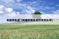 有趣变色龙（有趣的变色龙作文怎么写）