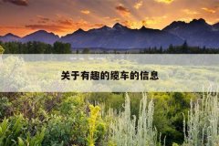 关于有趣的缆车的信息