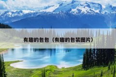 有趣的包包（有趣的包装图片）