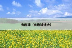 有趣球（有趣球迷会）