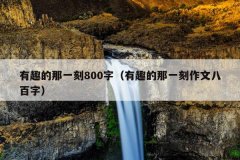 有趣的那一刻800字（有趣的那一刻作文八百字）