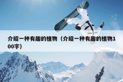 介绍一种有趣的植物（介绍一种有趣的植物100字