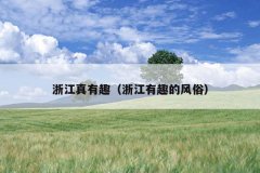 浙江真有趣（浙江有趣的风俗）