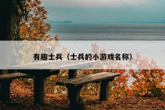 有趣士兵（士兵的小游戏名称）