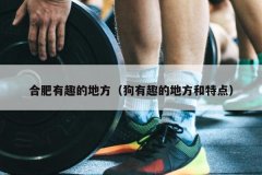 合肥有趣的地方（狗有趣的地方和特点）