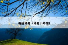 有趣修鞋（修鞋小妙招）