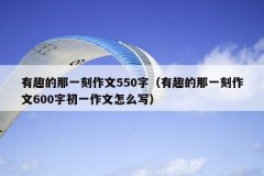 有趣的那一刻作文550字（有趣的那一刻作文600字