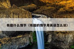 有趣什么情节（有趣的情节用英语怎么说）