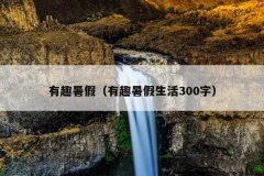 有趣暑假（有趣暑假生活300字）