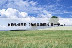 有趣头像图片（有趣头像图片 独一无二）