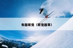 有趣萌宠（萌宠趣事）