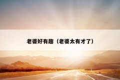 老婆好有趣（老婆太有才了）