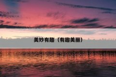 美妙有趣（有趣美丽）