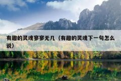 有趣的灵魂寥寥无几（有趣的灵魂下一句怎么说