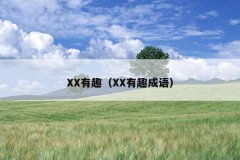 XX有趣（XX有趣成语）