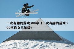 一次有趣的游戏300字（一次有趣的游戏300字作文