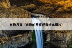 有趣月亮（有趣的月亮观察绘本图片）