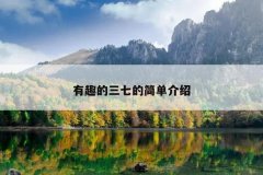 有趣的三七的简单介绍