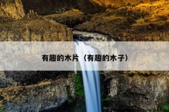 有趣的木片（有趣的木子）