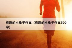 有趣的小兔子作文（有趣的小兔子作文500字）